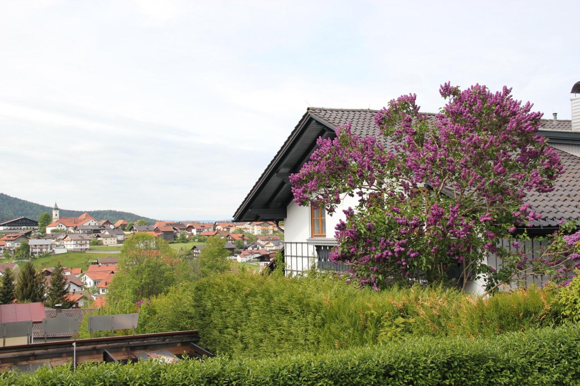 Relax - & Hallenbad & Relaxgarten Appartement *